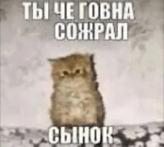 Sticker from Пісєчки-Попочки