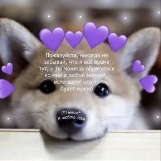 Sticker from Distars на связи