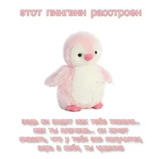 Sticker from Distars на связи
