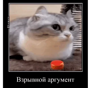 Sticker from Комарики, го в t.me/komarustic