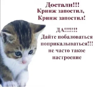 Sticker from мявмявмяяввв