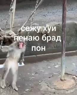😔 emoji люпимка Telegram sticker 18 of 88