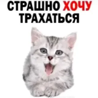 😩 emoji любимые дотеры Telegram sticker 7 of 34