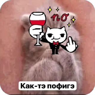 🌟 emoji Милые 🥰 котята 🐱 Telegram sticker 6 of 22