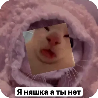 🌟 emoji Милые 🥰 котята 🐱 Telegram sticker 11 of 22