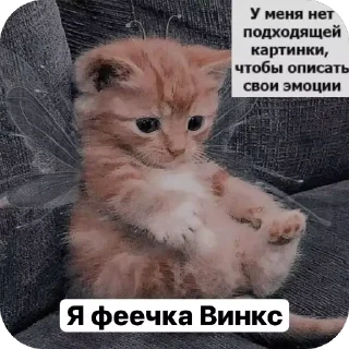 🌟 emoji Милые 🥰 котята 🐱 Telegram sticker 12 of 22