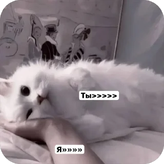 🌟 emoji Милые 🥰 котята 🐱 Telegram sticker 22 of 22