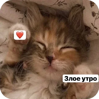 🌟 emoji Милые 🥰 котята 🐱 Telegram sticker 9 of 22