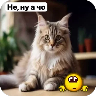 🌟 emoji Милые 🥰 котята 🐱 Telegram sticker 10 of 22