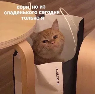 Sticker from На случай важных переговоров