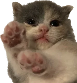 👋 emoji @wbmeesale @mercurystickers 🤍 Telegram sticker 1 of 42
