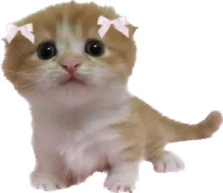 🥺 emoji @wbmeesale @mercurystickers 🤍 Telegram sticker 8 of 42