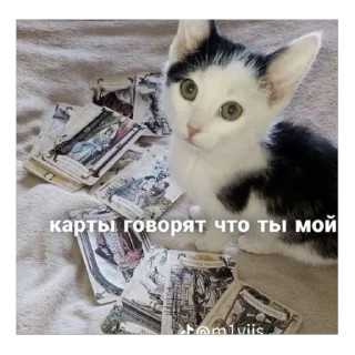 🫥 emoji невдуплёныши Telegram sticker 5 of 119