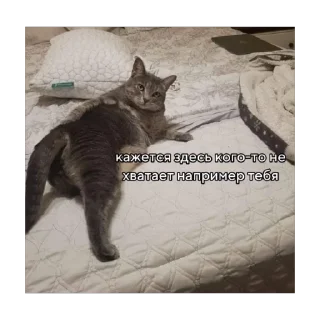🫥 emoji невдуплёныши Telegram sticker 20 of 119