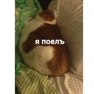 🫥 emoji невдуплёныши Telegram sticker 16 of 119
