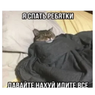 🫥 emoji невдуплёныши Telegram sticker 21 of 119