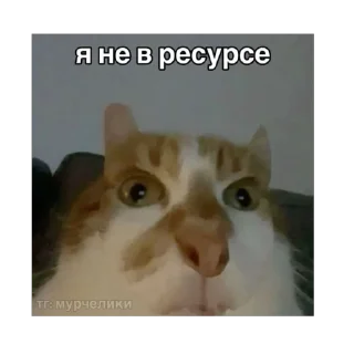 🫥 emoji невдуплёныши Telegram sticker 23 of 119