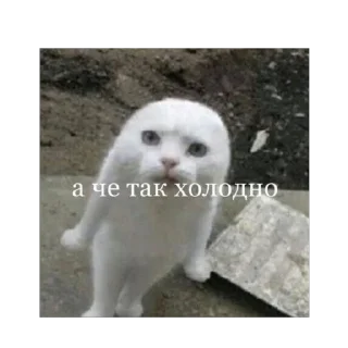 🫥 emoji невдуплёныши Telegram sticker 24 of 119