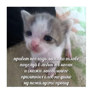 🫥 emoji невдуплёныши Telegram sticker 6 of 119