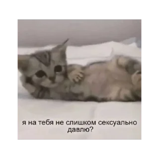 🫥 emoji невдуплёныши Telegram sticker 19 of 119