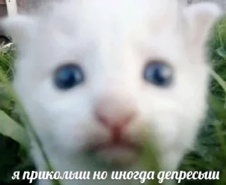 Sticker from невдуплёныши