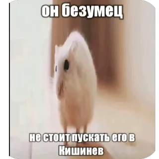 🫥 emoji Братуха @voialiylega Telegram sticker 4 of 108
