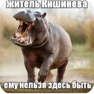 🫥 emoji Братуха @voialiylega Telegram sticker 5 of 108