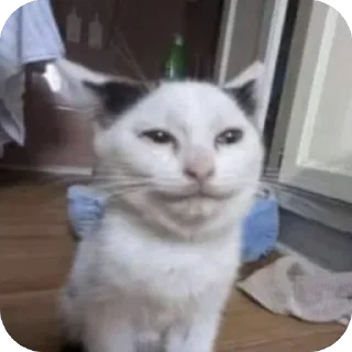 😼 emoji Братуха @voialiylega Telegram sticker 6 of 108
