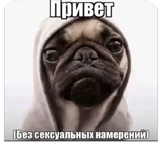🫥 emoji Братуха @voialiylega Telegram sticker 11 of 108