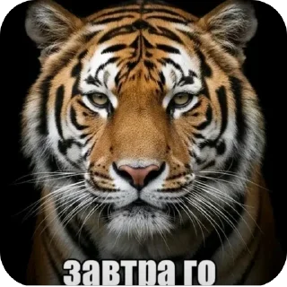 🫥 emoji Братуха @voialiylega Telegram sticker 21 of 108