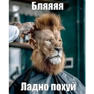 😑 emoji Братуха @voialiylega Telegram sticker 16 of 108