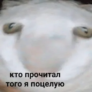 ily sticker 4
