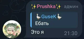 Sticker from ✨Prushka✨ Pack 2.0 ➡️ @Ctikerubot