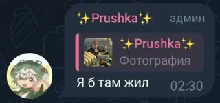 🏠 emoji ✨Prushka✨ Pack 2.0 ➡️ @Ctikerubot Telegram sticker 18 of 32