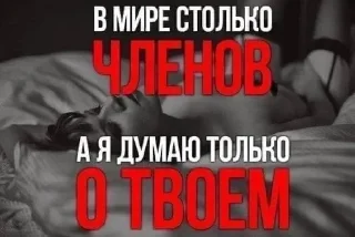 Sticker from алиночка лучшая зайка котик