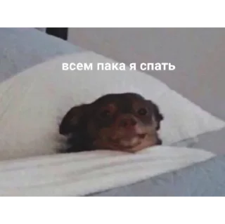 😴 emoji я нЕ ЗНАЮ Telegram sticker 13 of 100