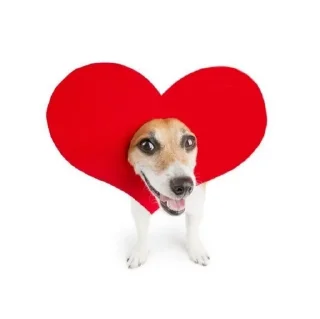 ❤ emoji я нЕ ЗНАЮ Telegram sticker 2 of 100