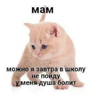 😿 emoji я нЕ ЗНАЮ Telegram sticker 7 of 100