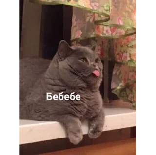 😛 emoji я нЕ ЗНАЮ Telegram sticker 14 of 100