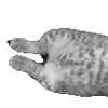 😴 emoji Валя Анциферов @X7R0N Telegram sticker 12 of 43