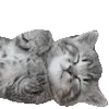 😴 emoji Валя Анциферов @X7R0N Telegram sticker 13 of 43