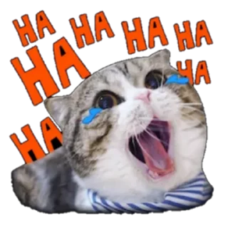 Sticker from GG