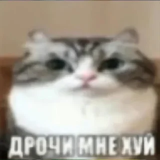 Sticker from Для переговорів