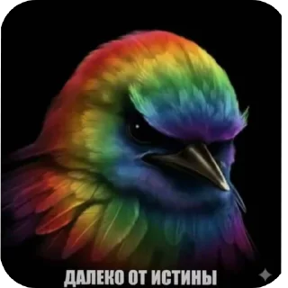 Sticker from Птицы