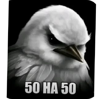 Sticker from Птицы