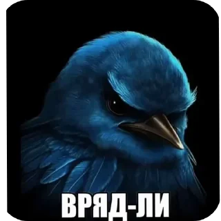 Sticker from Птицы