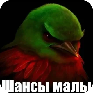 Sticker from Птички