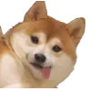 dogs ➜ @emoji1 sticker preview 3