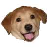 dogs ➜ @emoji1 sticker preview 1