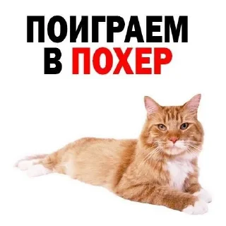 Sticker from Говнопак